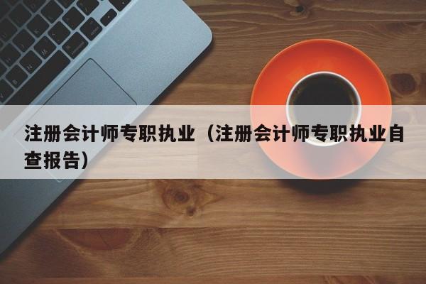 注册会计师专职执业（注册会计师专职执业自查报告）