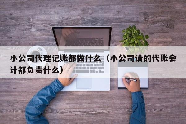 小公司代理记账都做什么(小公司请的代账会计都负责什么)
