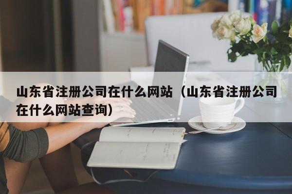 山东省注册公司在什么网站（山东省注册公司在什么网站查询）