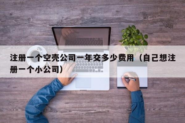 注册一个空壳公司一年交多少费用（自己想注册一个小公司）