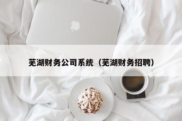 芜湖财务公司系统（芜湖财务招聘）