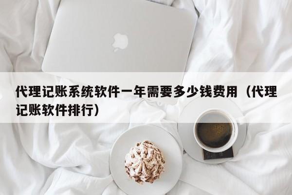 代理记账系统软件一年需要多少钱费用（代理记账软件排行）