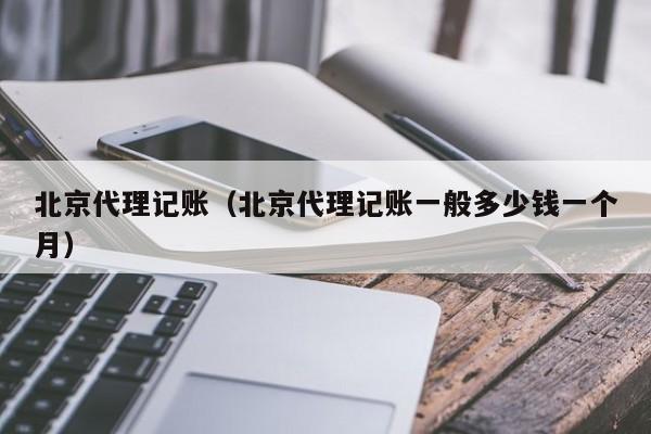 北京代理记账（北京代理记账一般多少钱一个月）