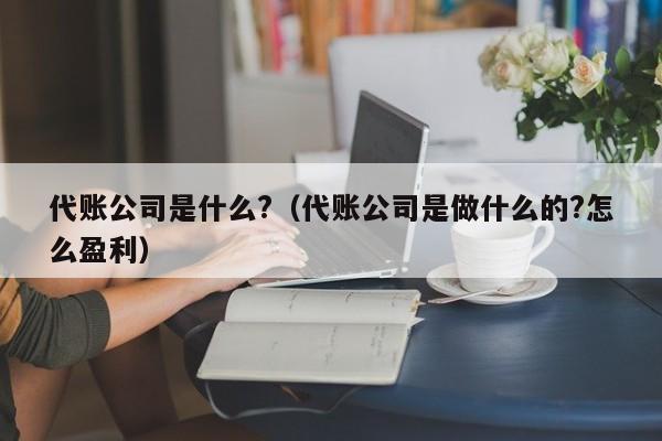 代账公司是什么?（代账公司是做什么的?怎么盈利）