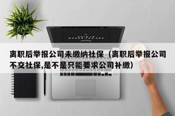 离职后举报公司未缴纳社保（离职后举报公司不交社保,是不是只能要求公司补缴）