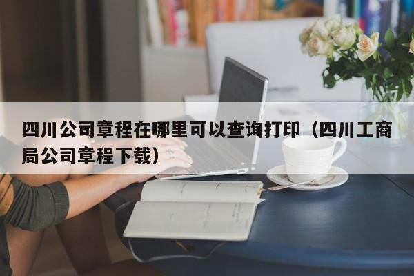 四川公司章程在哪里可以查询打印（四川工商局公司章程下载）