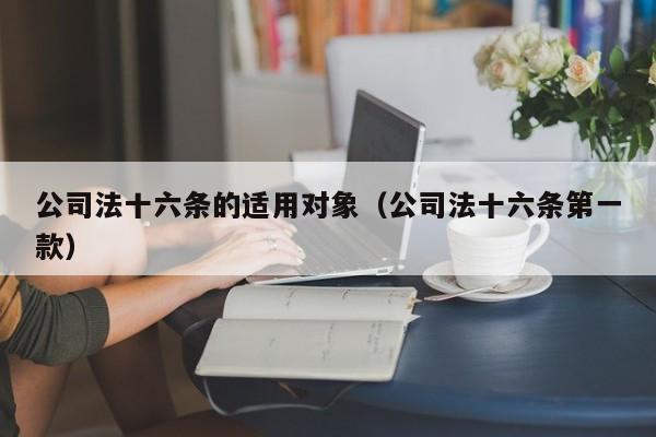 公司法十六条的适用对象（公司法十六条第一款）