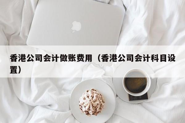香港公司会计做账费用（香港公司会计科目设置）