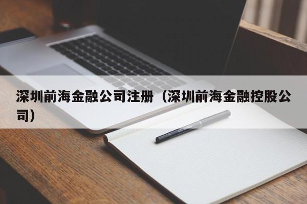 深圳前海金融公司注册(深圳前海金融控股公司)