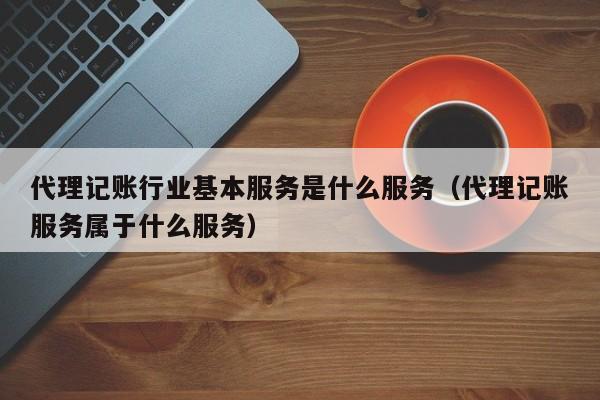 代理记账行业基本服务是什么服务（代理记账服务属于什么服务）
