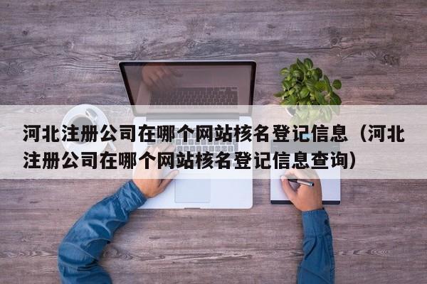河北注册公司在哪个网站核名登记信息（河北注册公司在哪个网站核名登记信息查询）
