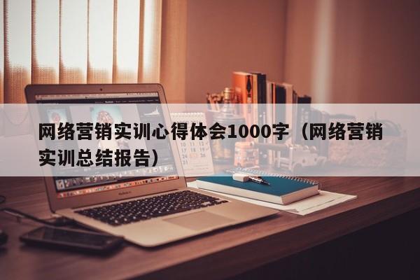网络营销实训心得体会1000字（网络营销实训总结报告）