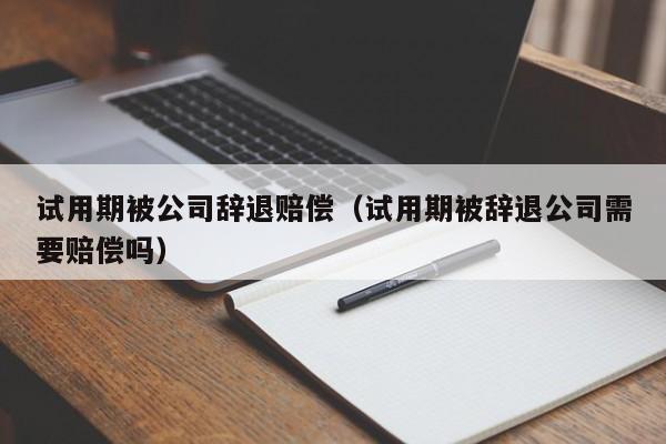 试用期被公司辞退赔偿（试用期被辞退公司需要赔偿吗）