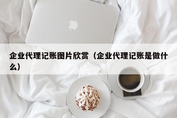 企业代理记账图片欣赏（企业代理记账是做什么）