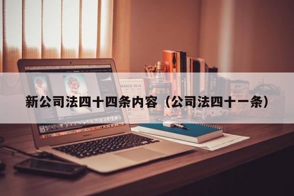 新公司法四十四条内容（公司法四十一条）