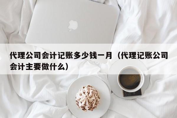 代理公司会计记账多少钱一月（代理记账公司会计主要做什么）