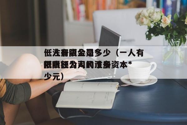 一人有限公司*低注册资金是多少（一人有限责任公司的注册资本*低限额为      币多少元）