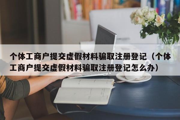 个体工商户提交虚假材料骗取注册登记（个体工商户提交虚假材料骗取注册登记怎么办）