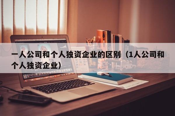 一人公司和个人独资企业的区别（1人公司和个人独资企业）