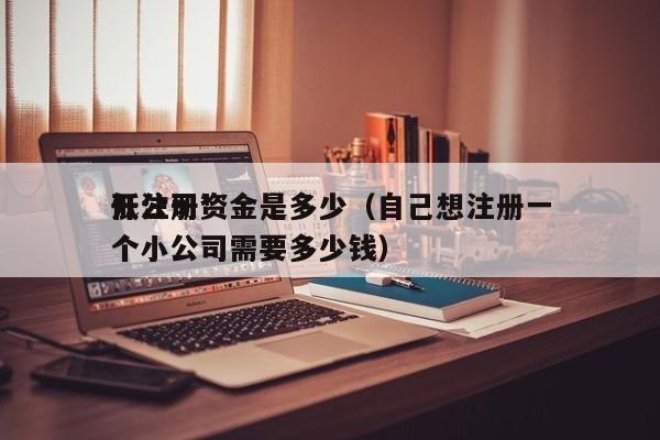 开公司*低注册资金是多少（自己想注册一个小公司需要多少钱）