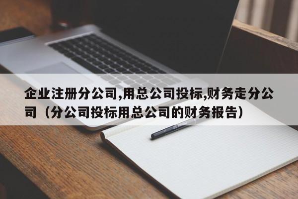 企业注册分公司,用总公司投标,财务走分公司（分公司投标用总公司的财务报告）