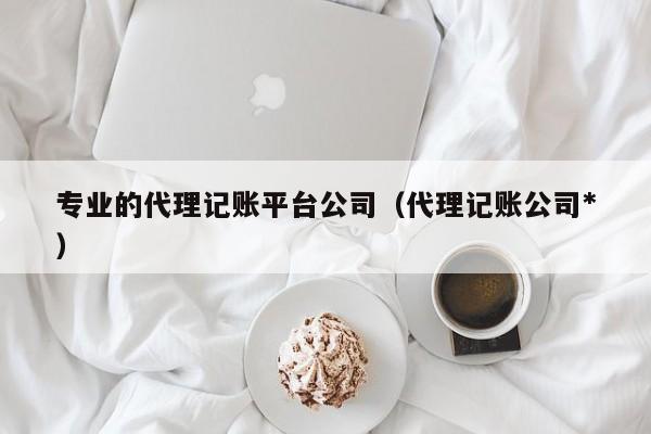 专业的代理记账平台公司（代理记账公司*）