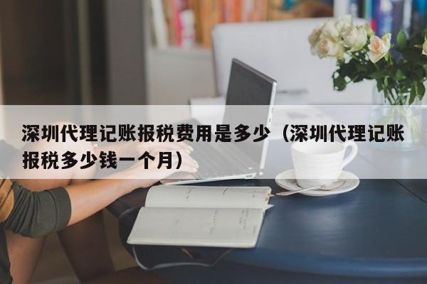 深圳代理记账报税费用是多少（深圳代理记账报税多少钱一个月）