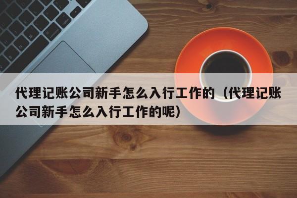 代理记账公司新手怎么入行工作的（代理记账公司新手怎么入行工作的呢）