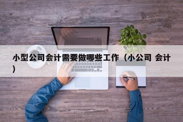 小型公司会计需要做哪些工作(小公司 会计)