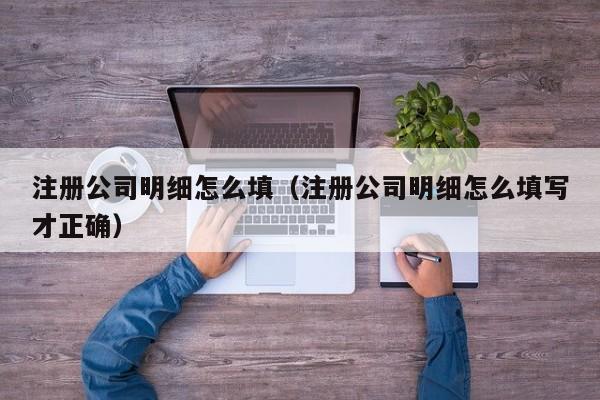 注册公司明细怎么填(注册公司明细怎么填写才正确)