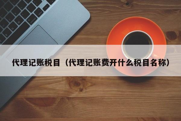 代理记账税目(代理记账费开什么税目名称)