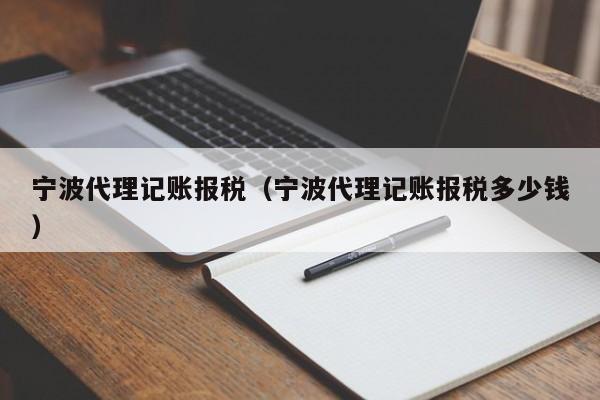 宁波代理记账报税(宁波代理记账报税多少钱)