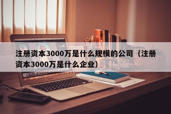 注册资本3000万是什么规模的公司(注册资本3000万是什么企业)