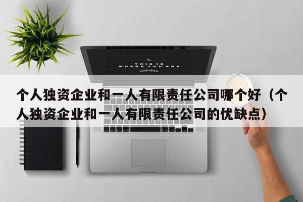 个人独资企业和一人有限责任公司哪个好（个人独资企业和一人有限责任公司的优缺点）