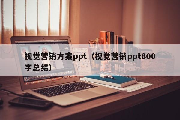 视觉营销方案ppt（视觉营销ppt800字总结）