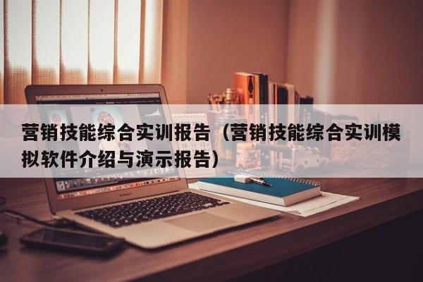 营销技能综合实训报告（营销技能综合实训模拟软件介绍与演示报告）
