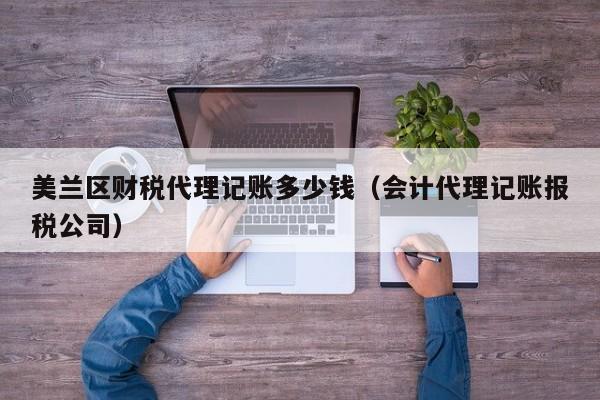 美兰区财税代理记账多少钱（会计代理记账报税公司）