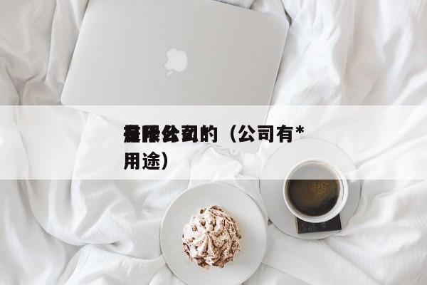 有限公司*是干什么的（公司有*有什么用途）