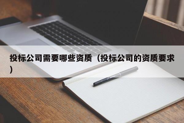 投标公司需要哪些资质（投标公司的资质要求）