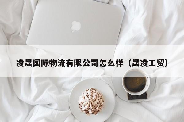 凌晟国际物流有限公司怎么样（晟凌工贸）