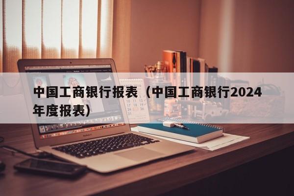 中国工商银行报表（中国工商银行2024年度报表）