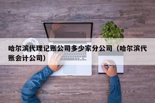 哈尔滨代理记账公司多少家分公司（哈尔滨代账会计公司）