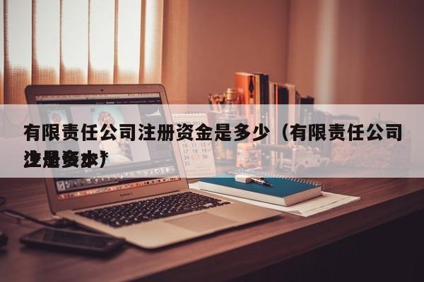 有限责任公司注册资金是多少（有限责任公司注册资本*少是多少）