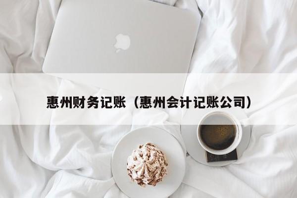 惠州财务记账（惠州会计记账公司）