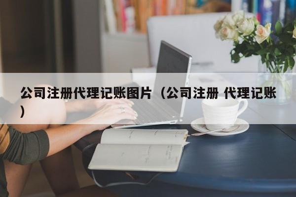 公司注册代理记账图片（公司注册 代理记账）