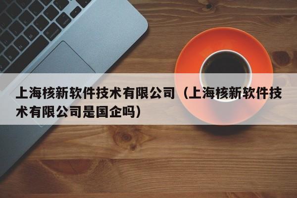 上海核新软件技术有限公司（上海核新软件技术有限公司是国企吗）