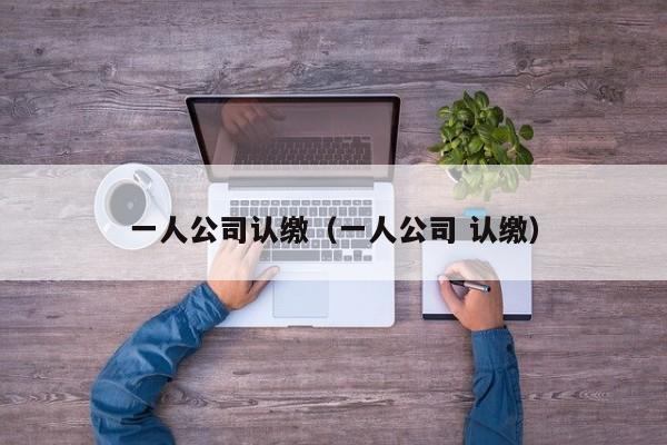 一人公司认缴（一人公司 认缴）