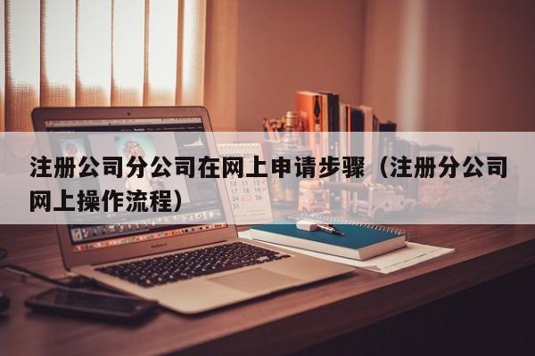 注册公司分公司在网上申请步骤（注册分公司网上操作流程）