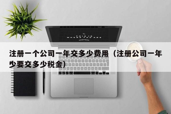 注册一个公司一年交多少费用（注册公司一年*少要交多少税金）