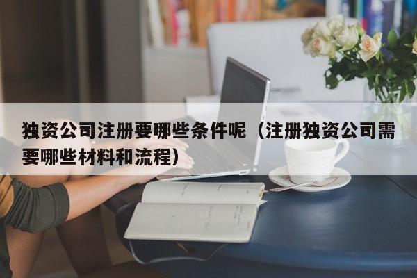 独资公司注册要哪些条件呢（注册独资公司需要哪些材料和流程）